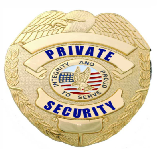 [CUSTOMIZED] First Class Private Security Gold Eagle Badge