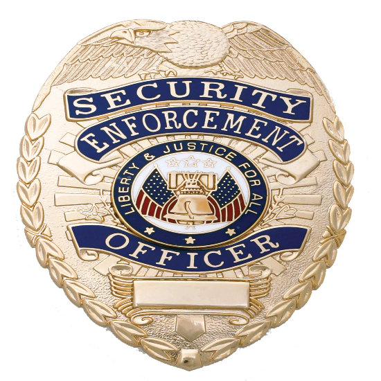 [ CUSTOMIZED ] First Class Security Enforcement Officer Gold Shield Badge