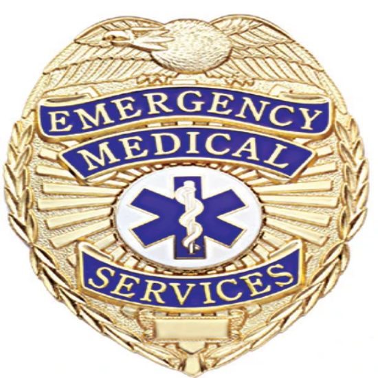 [CUSTOMIZED] First Class Emergency Medical Services Gold Shield Badge