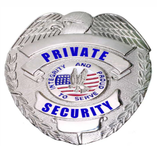 [CUSTOMIZED] First Class Private Security Silver Eagle Badge