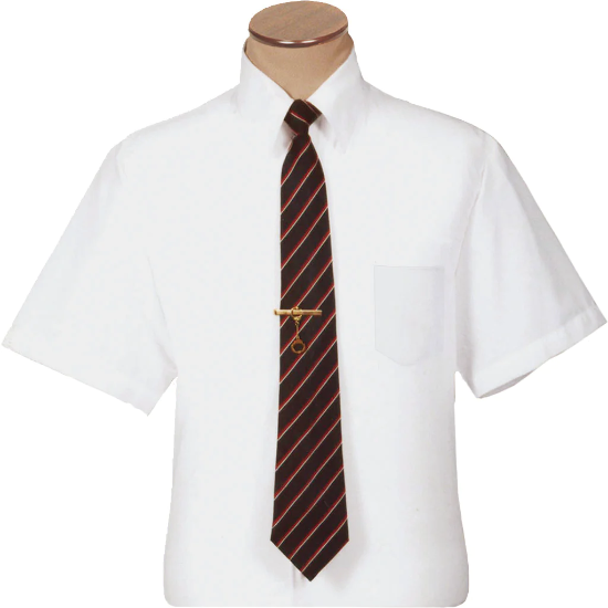 Professional White Dress Shirt