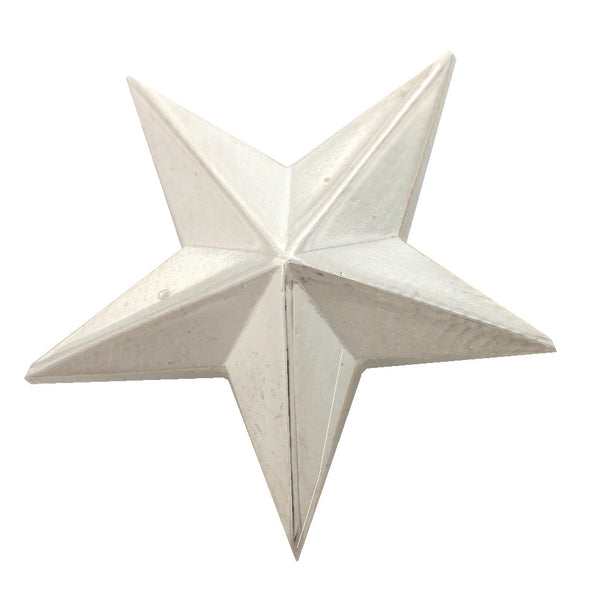 First Class Star Insignia Pin Pair (Large)